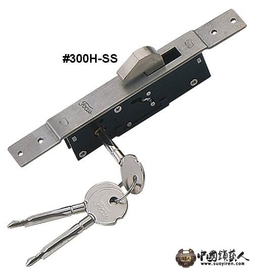 300H-SS.jpg